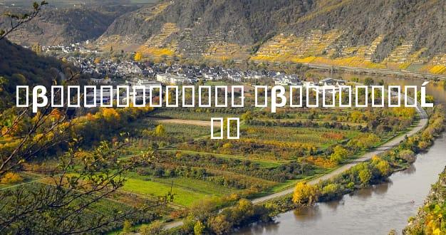 �β�����˲��˺��� �β�������˵Ĺ�ϵ